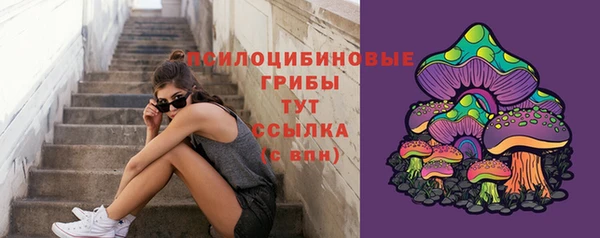 синтетический гашиш Алексеевка