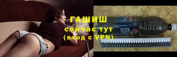 хмурый Алексин