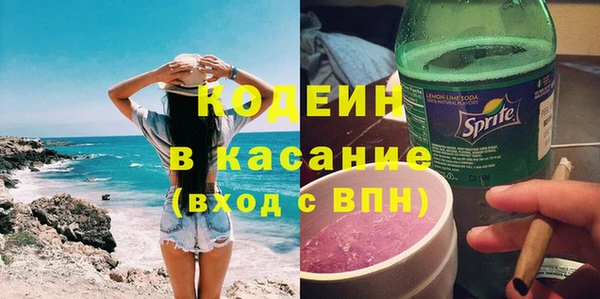 индика Алзамай