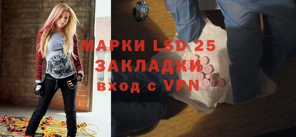 индика Алзамай