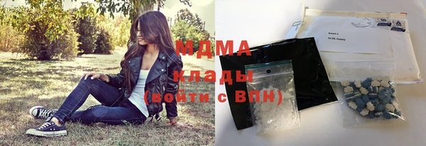 индика Алзамай