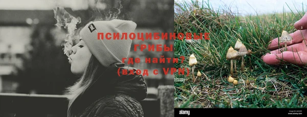 хмурый Алексин