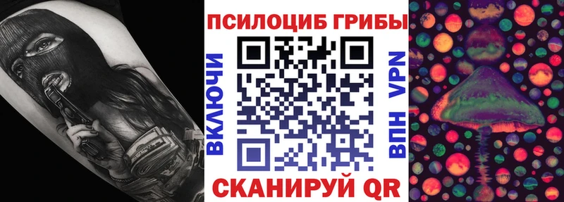 KRAKEN tor  Невинномысск  Псилоцибиновые грибы Psilocybine cubensis  закладки 